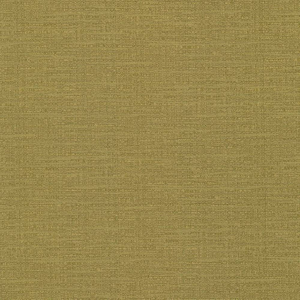 Ipanema Gold by Kasmir Fabric 5036 TAIWAN 15,000 Wyzenbeek Double Rubs H: N/A, V:N/A 54 - 55 - Fabric Carolina - Kasmir