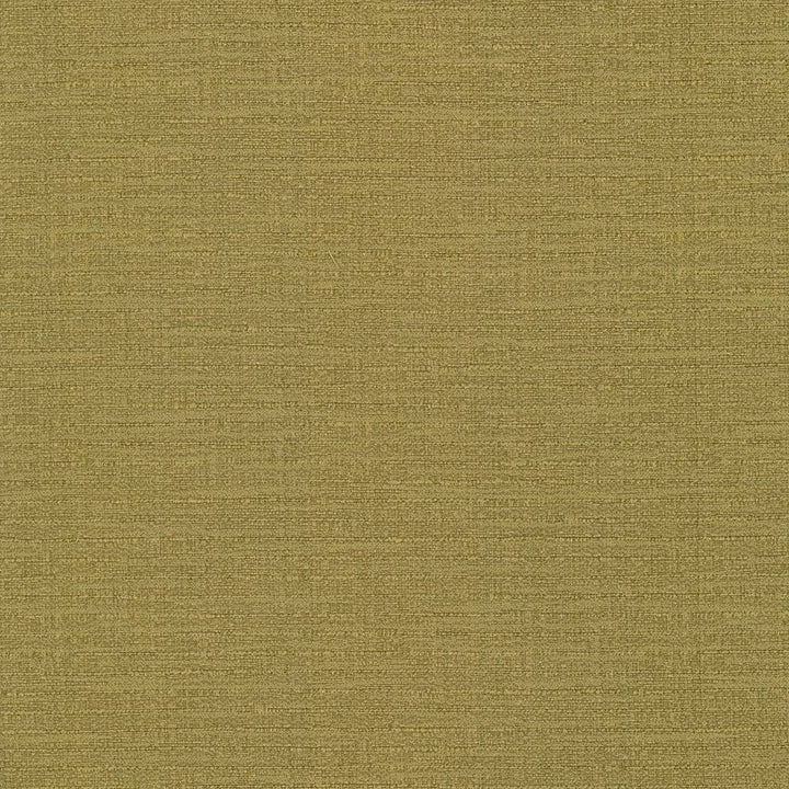 Ipanema Gold by Kasmir Fabric 5036 TAIWAN 15,000 Wyzenbeek Double Rubs H: N/A, V:N/A 54 - 55 - Fabric Carolina - Kasmir