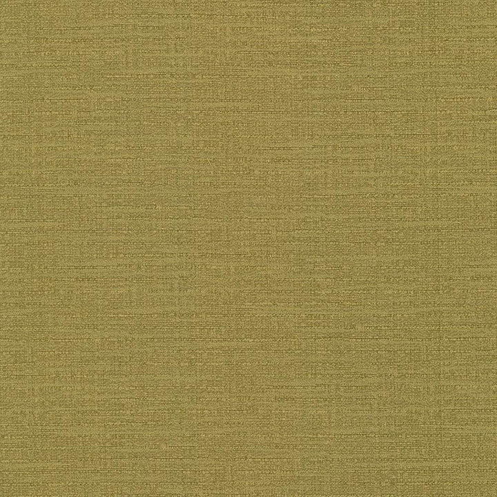 Ipanema Gold  by Kasmir Fabric See sample 51% Cotton
49% Polyester
 TAIWAN 15,000 Wyzenbeek Double Rubs </p><p>Repeat: Horizontal: N/A and Vertical: N/A 54  - Fabric Carolina -