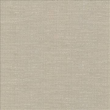 Ipanema Latte by Kasmir Fabric 5036 51% Cotton 49% Polyester TAIWAN 15,000 Wyzenbeek Double Rubs H: N/A, V: N/A 54 - 55 - Fabric Carolina - Kasmir