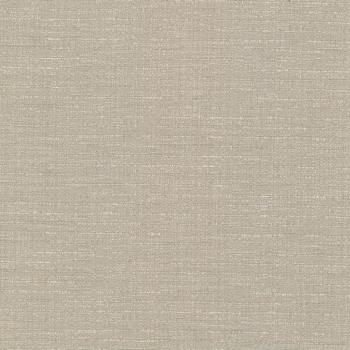 Ipanema Latte by Kasmir Fabric 5036 59% Cotton
41% Polyester
 TAIWAN 12,000 Wyzenbeek Double Rubs </p><p>Repeat: Horizontal: N/A and Vertical: N/A 54 - Fabric Carolina -