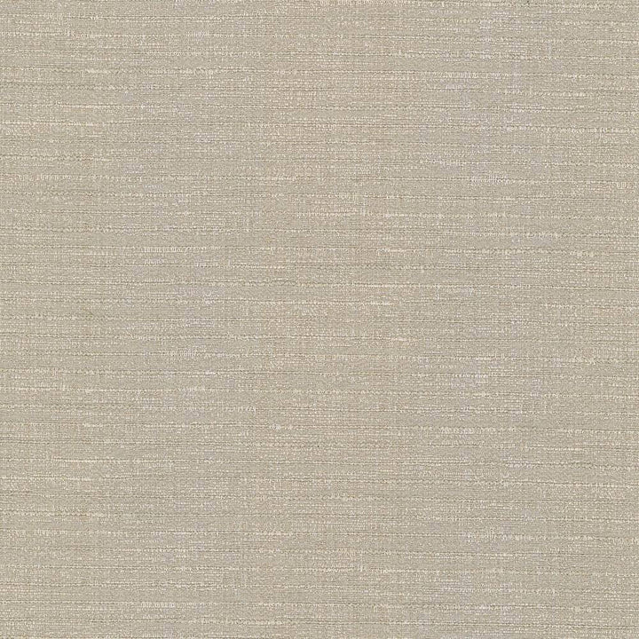 Ipanema Latte by Kasmir Fabric 5036 TAIWAN 15,000 Wyzenbeek Double Rubs H: N/A, V:N/A 54 - 55 - Fabric Carolina - Kasmir
