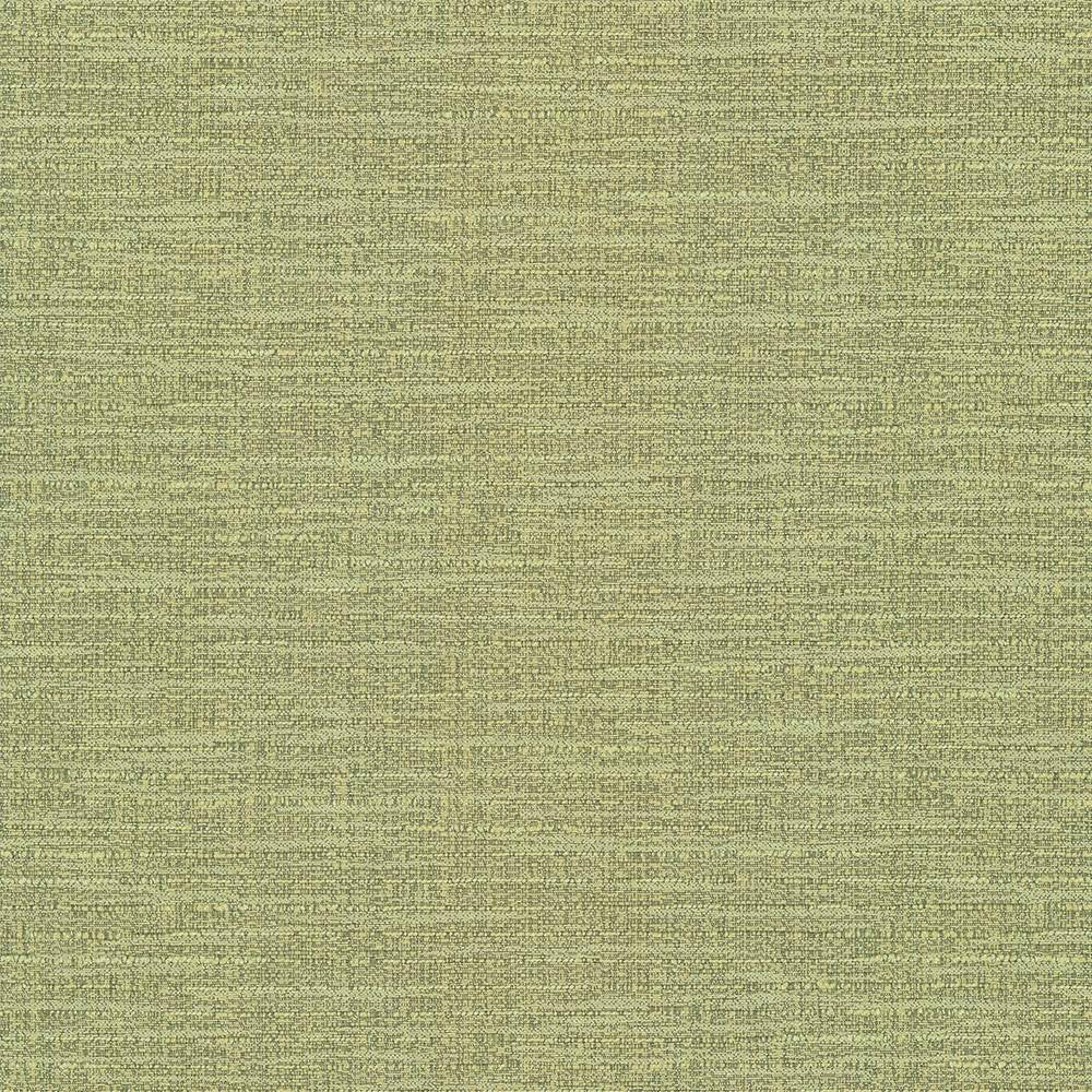Ipanema Lime by Kasmir Fabric 5036 TAIWAN 15,000 Wyzenbeek Double Rubs H: N/A, V:N/A 54 - 55 - Fabric Carolina - Kasmir