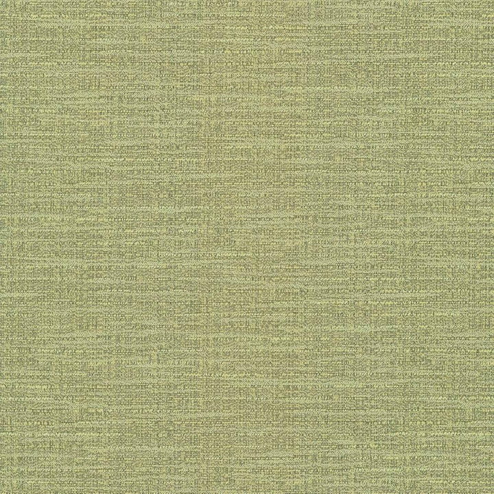 Ipanema Lime by Kasmir Fabric 5036 TAIWAN 15,000 Wyzenbeek Double Rubs H: N/A, V:N/A 54 - 55 - Fabric Carolina - Kasmir