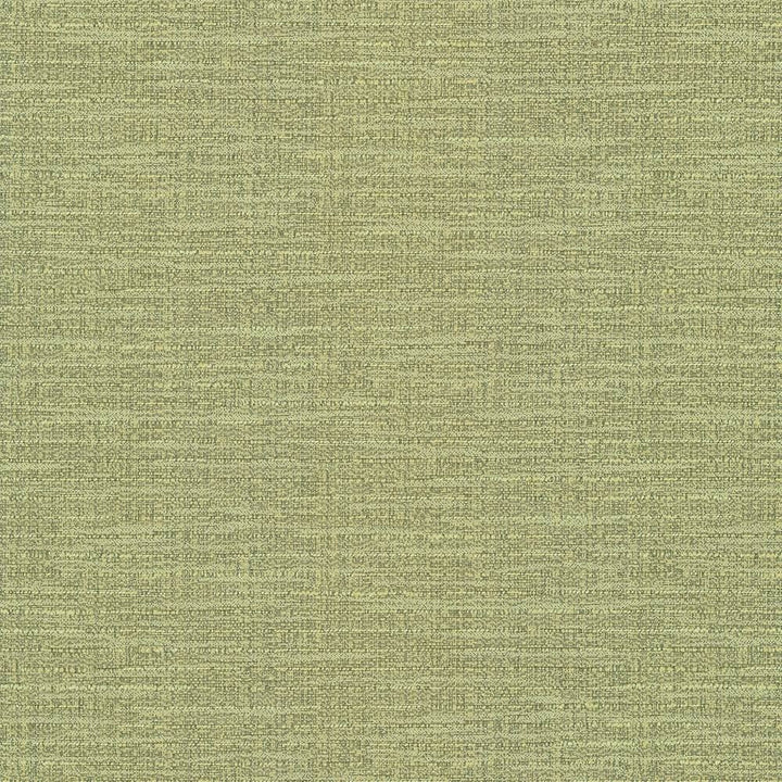 Ipanema Lime by Kasmir Fabric 5036 51% Cotton
49% Polyester
 TAIWAN 15,000 Wyzenbeek Double Rubs Horizontal: N/A and Vertical: N/A 54 - Fabric Carolina -