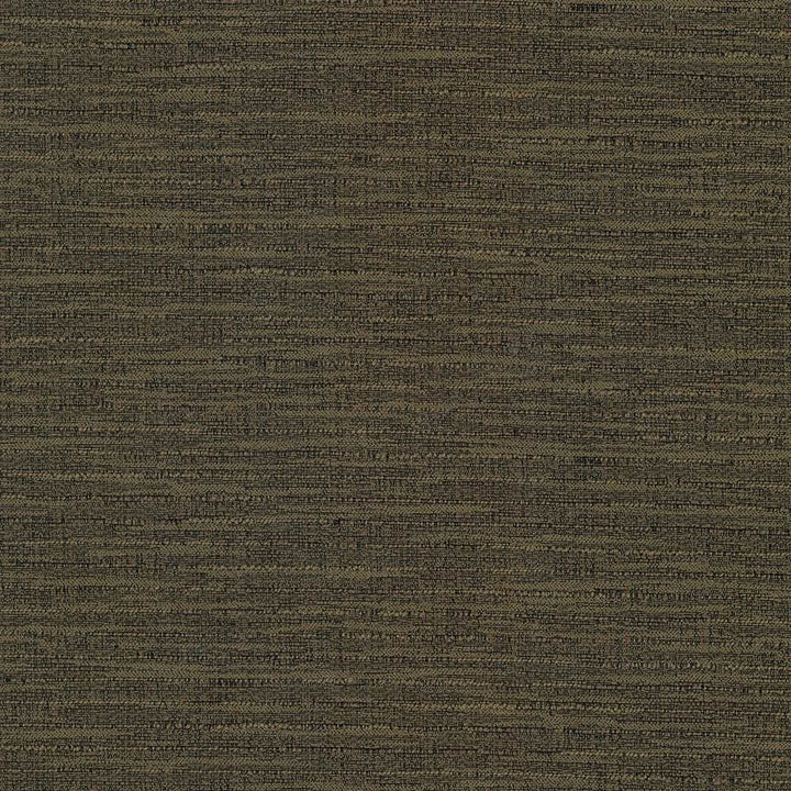 Ipanema Nutmeg by Kasmir Fabric 5036 51% Cotton 49% Polyester TAIWAN 15,000 Wyzenbeek Double Rubs Horizontal: 0 Inches and Vertical: 0 Inches 54 - 55 - Fabric Carolina -