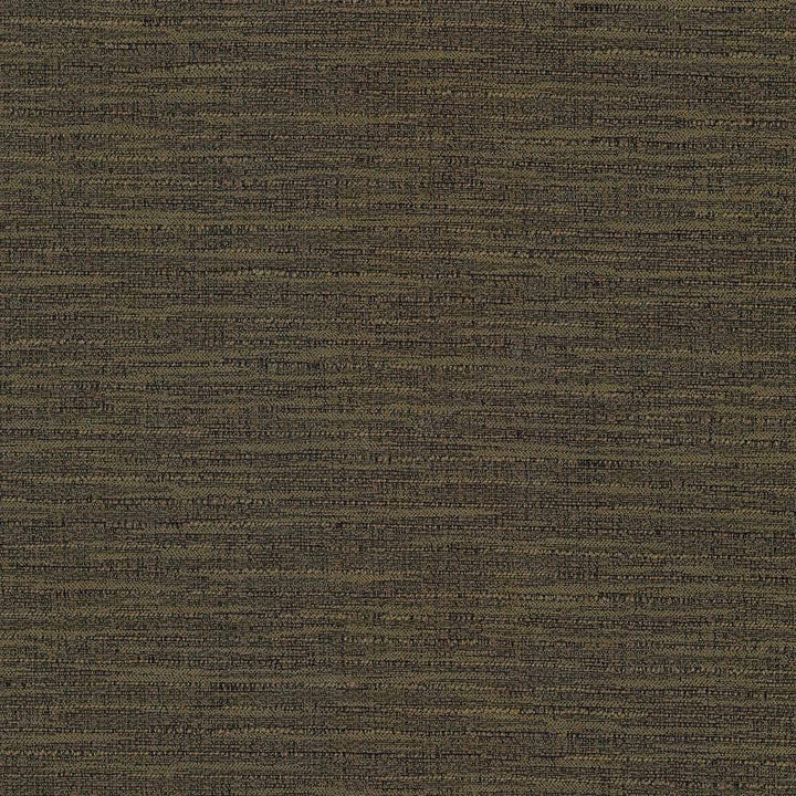 Ipanema Nutmeg by Kasmir Fabric 5036 TAIWAN 15,000 Wyzenbeek Double Rubs H: N/A, V:N/A 54 - 55 - Fabric Carolina - Kasmir