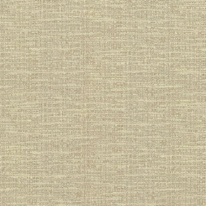 Ipanema Oatmeal by Kasmir Fabric 5036 TAIWAN 15,000 Wyzenbeek Double Rubs H: N/A, V:N/A 54 - 55 - Fabric Carolina - Kasmir