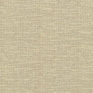 Ipanema Oatmeal by Kasmir Fabric