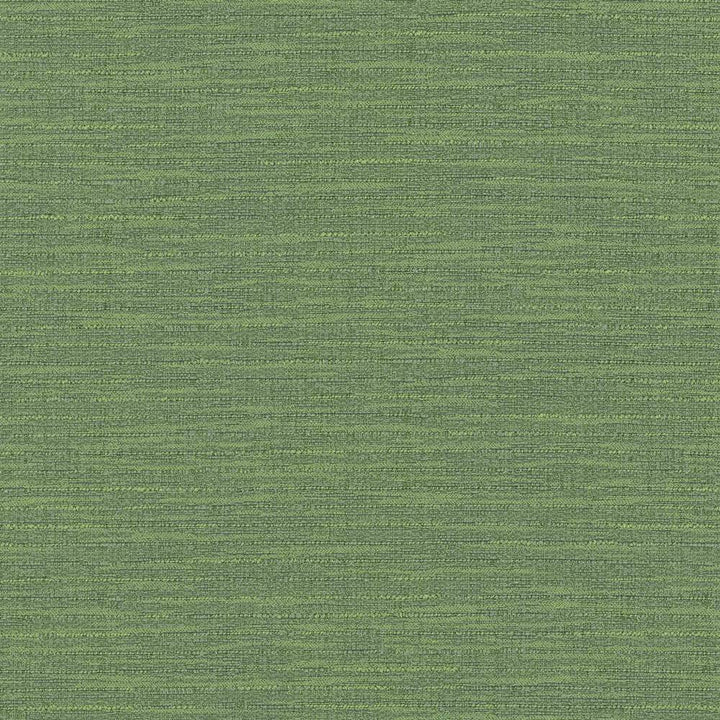 Ipanema Olive by Kasmir Fabric 5036 TAIWAN 15,000 Wyzenbeek Double Rubs H: N/A, V:N/A 54 - 55 - Fabric Carolina - Kasmir