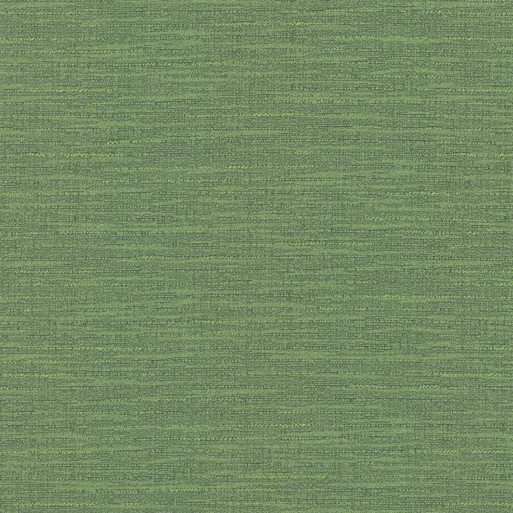 Ipanema Olive by Kasmir Fabric 5036 59% Cotton
41% Polyester
 TAIWAN 12,000 Wyzenbeek Double Rubs </p><p>Repeat: Horizontal: N/A and Vertical: N/A 54 - Fabric Carolina -