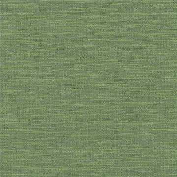 Ipanema Olive by Kasmir Fabric 5036 51% Cotton 49% Polyester TAIWAN 15,000 Wyzenbeek Double Rubs H: N/A, V: N/A 54 - 55 - Fabric Carolina - Kasmir