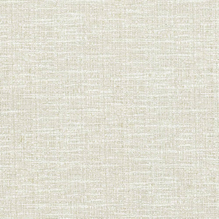 Ipanema Oyster by Kasmir Fabric 5036 TAIWAN 15,000 Wyzenbeek Double Rubs H: N/A, V:N/A 54 - 55 - Fabric Carolina - Kasmir