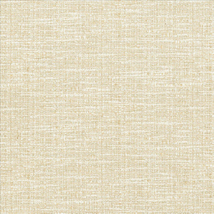 Ipanema Oyster by Kasmir Fabric 5181 59% Cotton
41% Polyester
 TAIWAN 12,000 Wyzenbeek Double Rubs </p><p>Repeat: Horizontal: N/A and Vertical: N/A 54 - Fabric Carolina -
