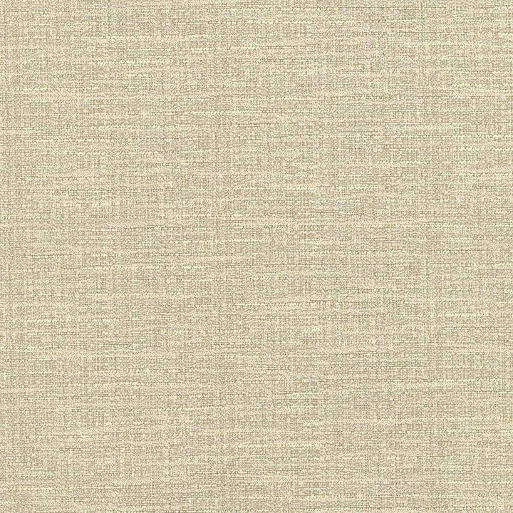 Ipanema Sandstone by Kasmir Fabric 5036 TAIWAN 15,000 Wyzenbeek Double Rubs H: N/A, V:N/A 54 - 55 - Fabric Carolina - Kasmir
