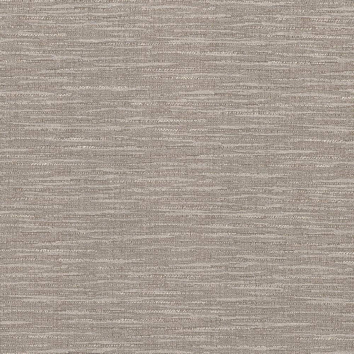 Ipanema Suede by Kasmir Fabric 5036 TAIWAN 15,000 Wyzenbeek Double Rubs H: N/A, V:N/A 54 - 55 - Fabric Carolina - Kasmir