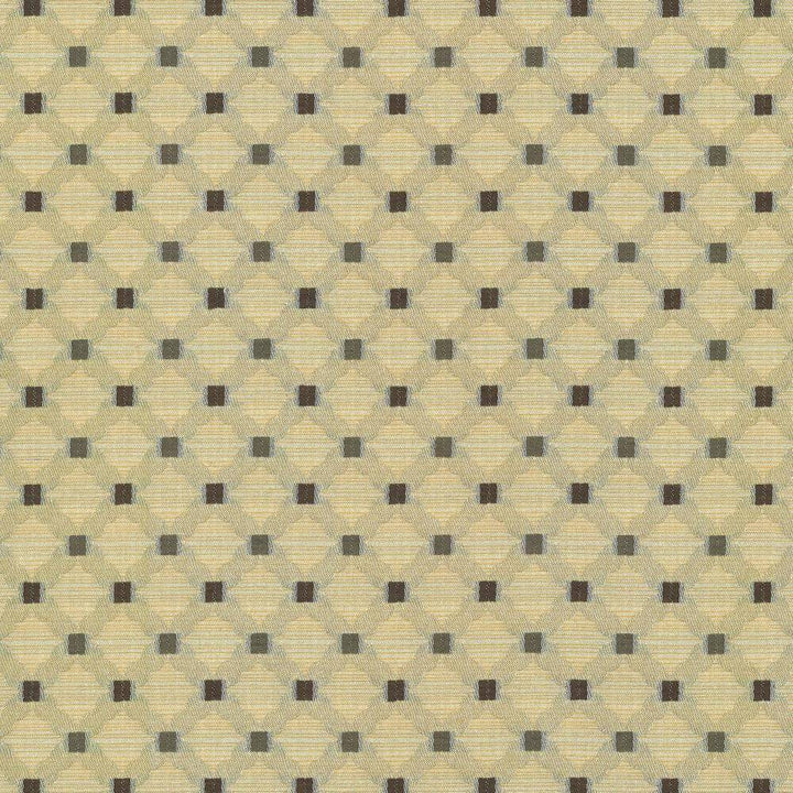 Ipswich Trellis Straw by Kasmir Fabric 5066 INDIA 30,000 Wyzenbeek Double Rubs H: 1 2/8 inches, V:N/A 56 - 57 - Fabric Carolina - Kasmir