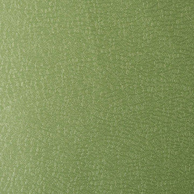 Isa Limelight by Kravet Design Fabric