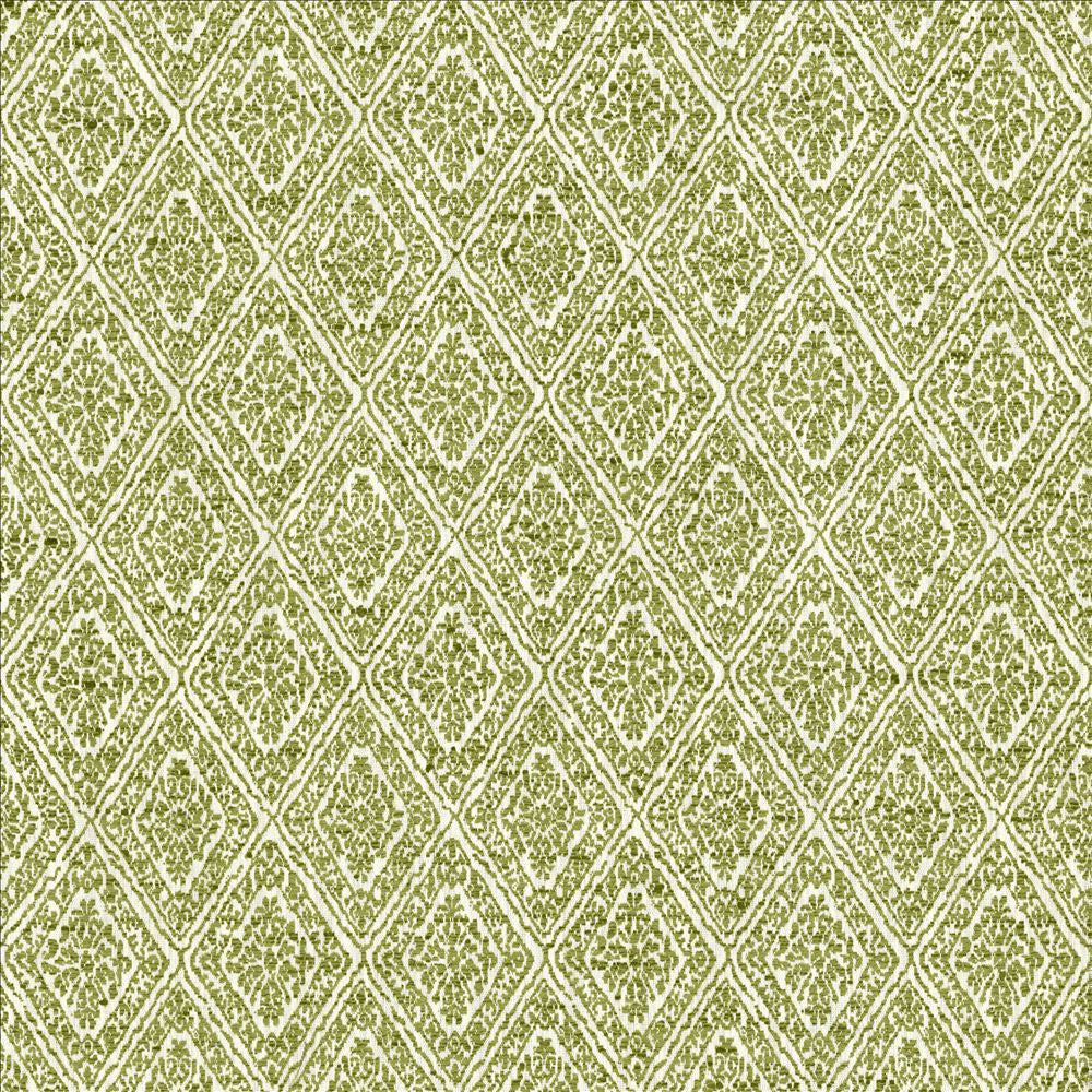 Izmir Moss by Kasmir Fabric 5124 58% Polyester
42% Cotton
 INDIA </p><p>Repeat: Horizontal: 2 6/8 inches and Vertical: 4 2/8 inches 54 - Fabric Carolina -