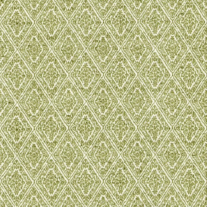 Izmir Moss by Kasmir Fabric 5124 58% Polyester
42% Cotton
 INDIA </p><p>Repeat: Horizontal: 2 6/8 inches and Vertical: 4 2/8 inches 53 - Fabric Carolina -