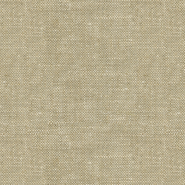 Lea Buff by G P & J Baker Fabric