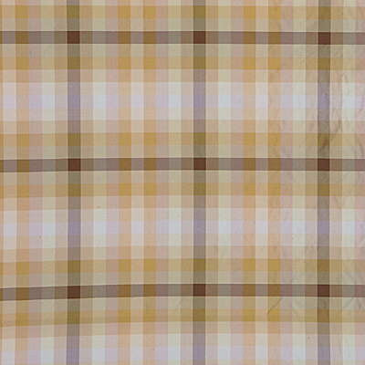 Ascot Check Natural by G P & J Baker Fabric