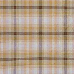 Ascot Check Natural by G P & J Baker Fabric
