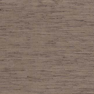 Jacktown Coffee 3578311010 by Carole Fabric Exclusive