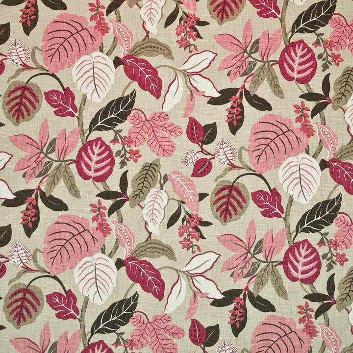 Jaffrey Point Blossom by Kasmir Fabric 1400 USA 14,000 Wyzenbeek Double Rubs H: 27 inches, V:27 inches 54 - Fabric Carolina - Kasmir