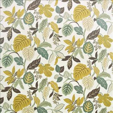 Jaffrey Point Pearl by Kasmir Fabric 1401 100% Cotton USA 14,000 Wyzenbeek Double Rubs H: 27 inches, V: 27 inches 54 - Fabric Carolina - Kasmir