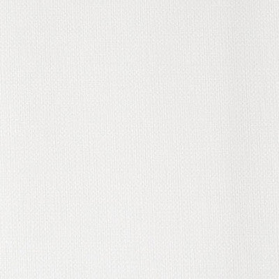 Jambi White Riot by Kravet Design Fabric