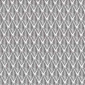 Jata Ebony by Kasmir Fabric 5105 100% Cotton UAE 30,000 Wyzenbeek Double Rubs H: 3 4/8 inches, V: 6 6/8 inches 54 - 55 - Fabric Carolina - Kasmir