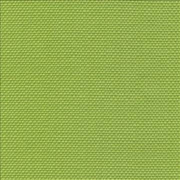 Jetty Io Lime by Kasmir Fabric 1395 100% High UV Polyester USA 57,000 Wyzenbeek Double Rubs H: N/A, V: N/A 54 - Fabric Carolina - Kasmir
