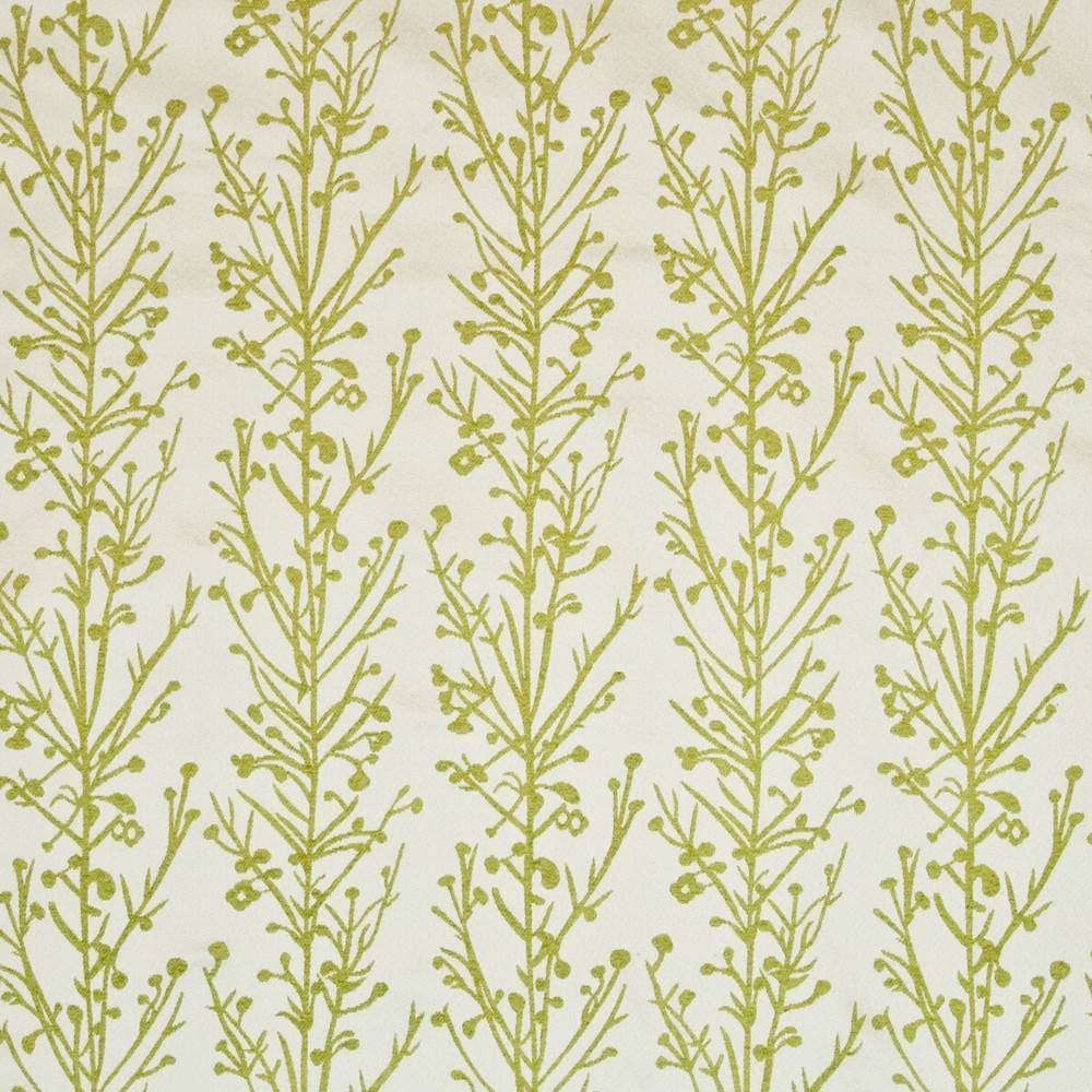 Jin Jiang Endive  by Kasmir Fabric See sample 70% Rayon
30% Polyester
 CHINA 15,000 Wyzenbeek Double Rubs </p><p>Repeat: Horizontal: 14 inches and Vertical: 26 4/8 inches 54  - Fabric Carolina -