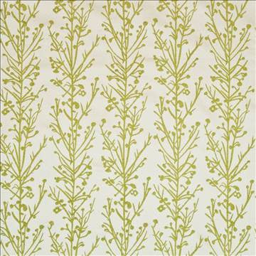 Jin Jiang Endive by Kasmir Fabric 1406 70% Rayon 30% Polyester CHINA 15,000 Wyzenbeek Double Rubs H: 14 inches, V: 26 4/8 inches 54 - Fabric Carolina - Kasmir
