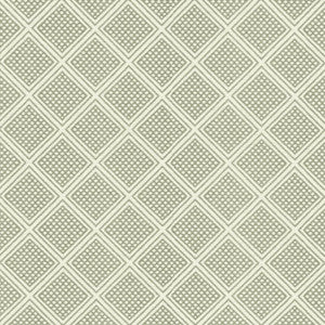 Joinery Steam by Kasmir Fabric