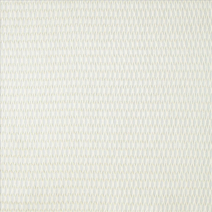 Jonas Coconut by Kasmir Fabric 5157 100% Polyester
 TURKEY </p><p>Repeat: Horizontal: 4/8 inches and Vertical: 1 2/8 inches 118 - Fabric Carolina -