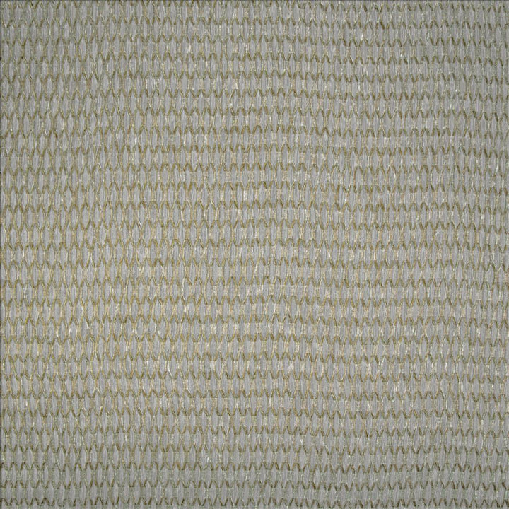 Jonas Raffia by Kasmir Fabric 5157 100% Polyester
 TURKEY </p><p>Repeat: Horizontal: 4/8 inches and Vertical: 1 2/8 inches 118 - Fabric Carolina -