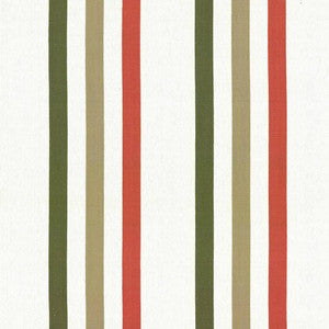 Joyous Stripe Coral by Kasmir Fabric