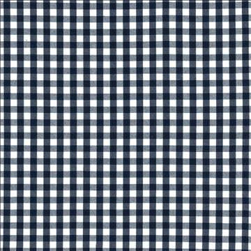 Junction Plaid Navy by Kasmir Fabric 5125 100% Cotton USA 15,000 Wyzenbeek Double Rubs H: 1 inches, V: 1 inches 54 - Fabric Carolina - Kasmir
