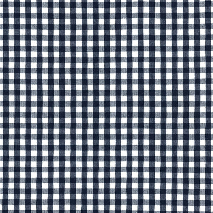 Junction Plaid Navy by Kasmir Fabric 5125 100% Cotton
 USA </p><p>Repeat: Horizontal: 1 inches and Vertical: 1 inches 53 - Fabric Carolina -
