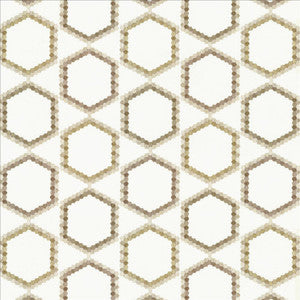 Juvenescent Marble by Kasmir Fabric
