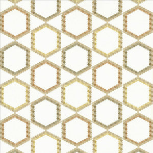 Juvenescent Potpourri by Kasmir Fabric