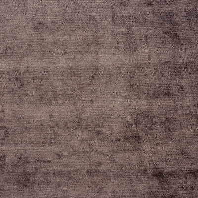 Tranquility Dk Brown by G P & J Baker Fabric