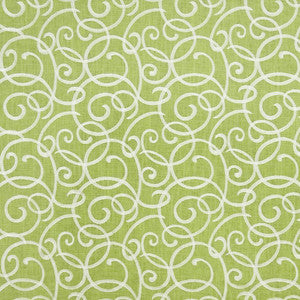 Kabuki Linen Endive by Kasmir Fabric