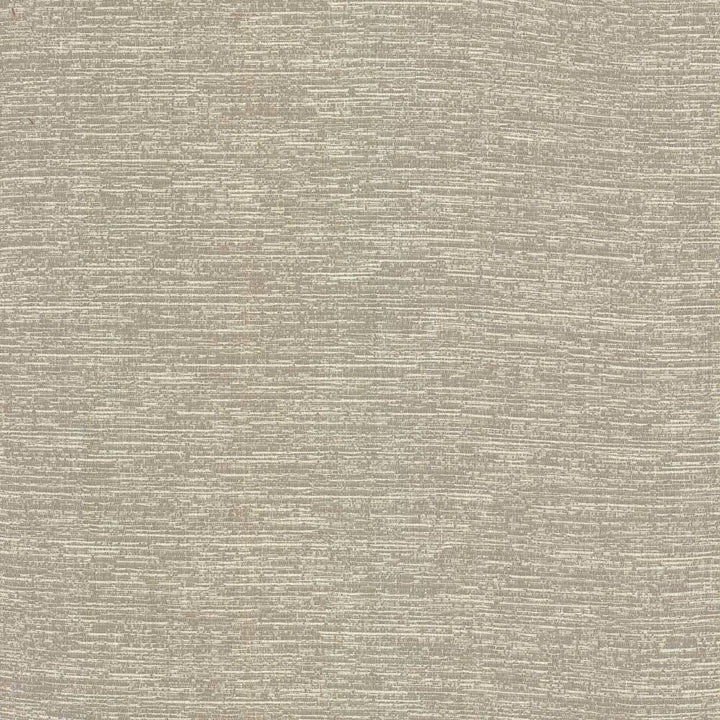 Kaftan Taupe by Kasmir Fabric 5092 INDIA 20,000 Martindale Cycles H: N/A, V:N/A 54 - 55 - Fabric Carolina - Kasmir
