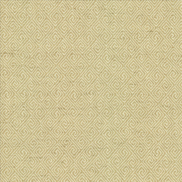 Kaiping Endive by Kasmir Fabric 1461 59% Polyester
41% Cotton
 INDIA 100,000 Wyzenbeek Double Rubs </p><p>Repeat: Horizontal: 2 5/8 inches and Vertical: 3 inches 53 - Fabric Carolina -