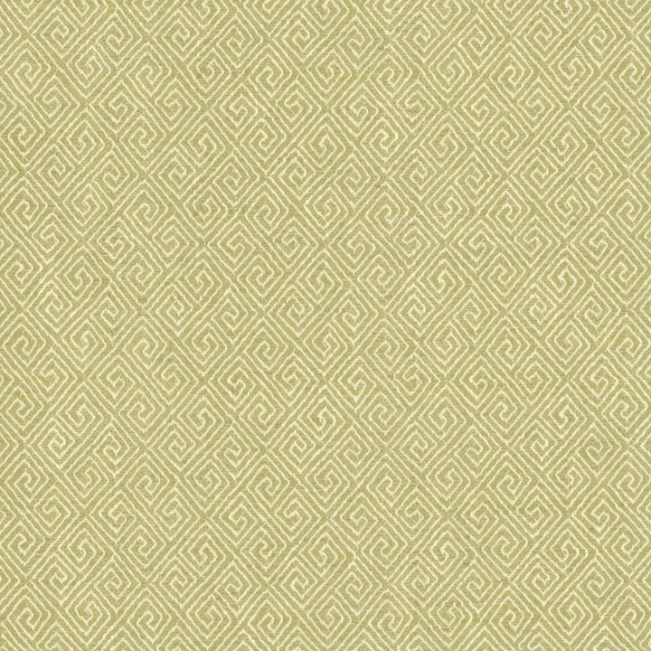 Kaiping Pear by Kasmir Fabric 1461 59% Polyester
41% Cotton
 INDIA </p><p>Repeat: Horizontal: 2 5/8 inches and Vertical: 3 inches 53 - Fabric Carolina -
