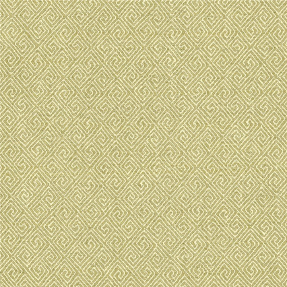 Kaiping Pear by Kasmir Fabric 1461 59% Polyester
41% Cotton
 INDIA 100,000 Wyzenbeek Double Rubs </p><p>Repeat: Horizontal: 2 5/8 inches and Vertical: 3 inches 53 - Fabric Carolina -
