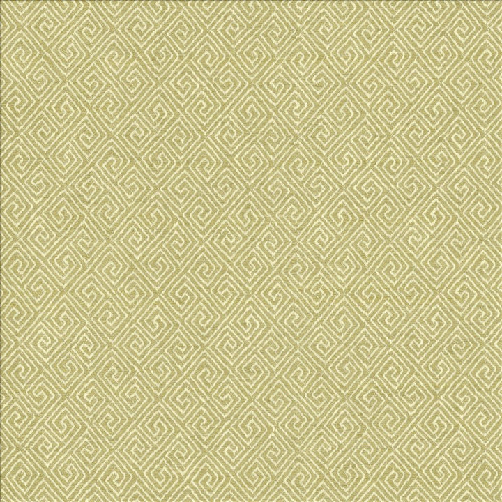 Kaiping Pear by Kasmir Fabric 1461 59% Polyester
41% Cotton
 INDIA 100,000 Wyzenbeek Double Rubs </p><p>Repeat: Horizontal: 2 5/8 inches and Vertical: 3 inches 53 - Fabric Carolina -
